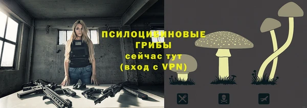 ешки Медвежьегорск