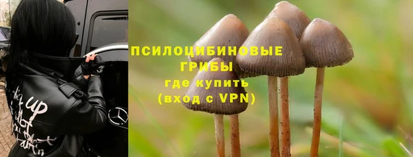 ешки Медвежьегорск