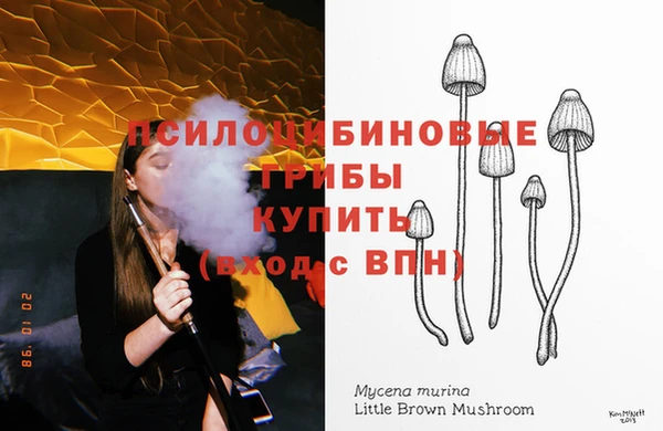 mdpv Аша