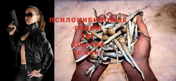 твердый Шарыпово