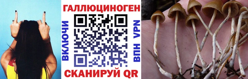 Псилоцибиновые грибы Magic Shrooms  где продают наркотики  Приволжский 